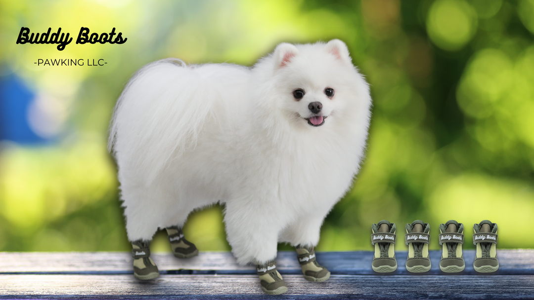 Dog Shoes: The Game Changer in Outdoor Pet Care